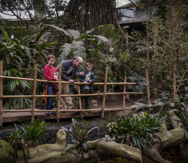 Omaha's Henry Doorly Zoo and Aquarium